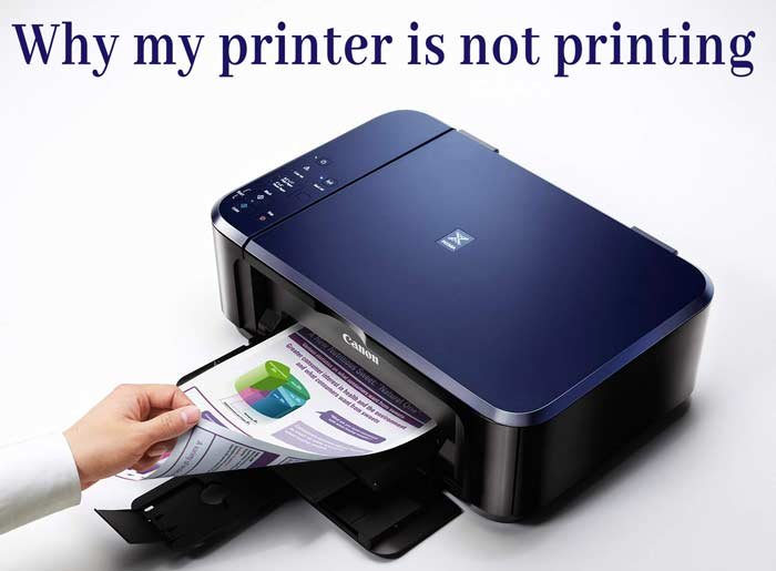 You are currently viewing Why my printer is not printing? Printer Tips